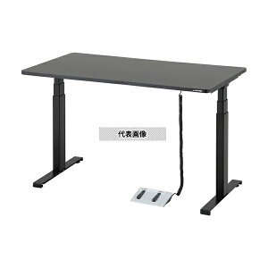 AY DSS-1260 d~Ƒ(tbgXCb`)1200×600×610~1260mm [zi]