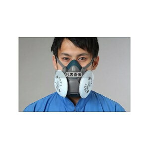 GXR EA800NE-12 [RL2] ho}XN(M)