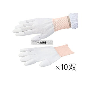 AYsA(AY) AYsA PUN[ wR[g SS 10o