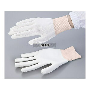 AYsA(AY) AYsA PUR[g ̕R[g SS 10o