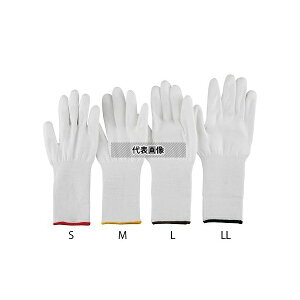 AY AYc[ϐؑnO(x5ER[gL)  LL