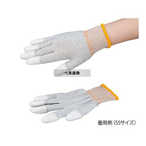 AYsA(AY) AYsAESDN[(wR[g) SS 1(10o)