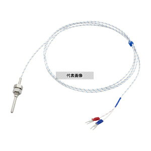 AY ˂݌ŒZT[ xߏh~uEx񔭐u