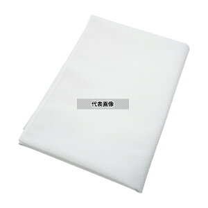 irX(AY) PS1690 ϔMϋvhV[c(Ɩp) pEz