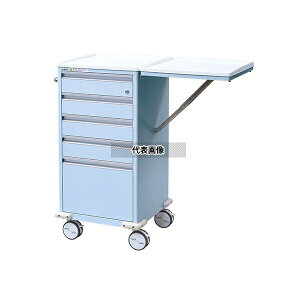 irX(AY) EC-B AeBA~}J[g u[