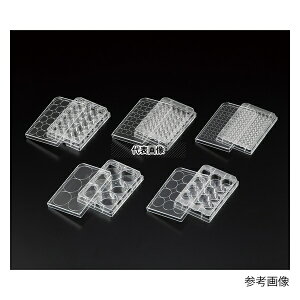 rI(AY) VF-P6 rIVזEp|{v[g 6EF 1(50)