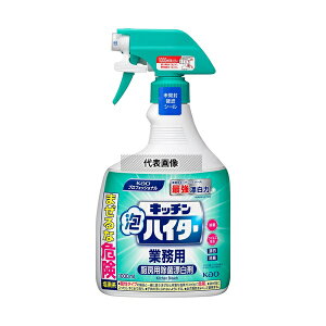 ԉ Lb`AnC^[ Ɩp 1000mL 1P[X(6{)