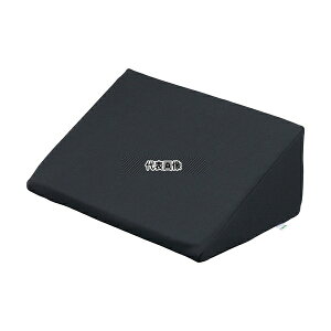 irX(AY) GP-T4 ̈ʌŒNbV(AgX)400×250×150mm