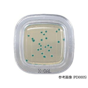 hw ؂`FbN?DD X-GALV|n 1(100) PD0006 1(100)