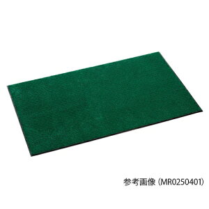 eg eC}bg MR0250801 1