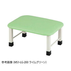 irXiAYj ~jݑ 1i 400×300×200mm AC{[ MS1-IV-200
