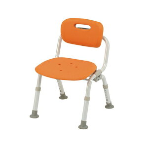 pi\jbNGCWt[ V[`FARpNg肽N(NA) ^b`J  IW PN-L41421D 1