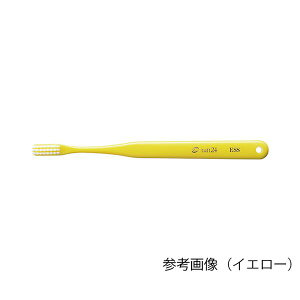 AY(AS ONE) ^tg24 ESSELbvt O[ 25{ 20048