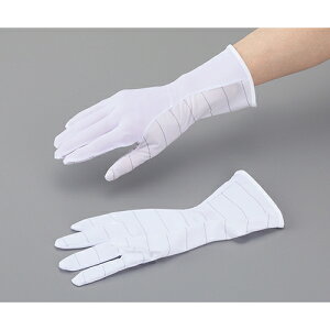 AYsA(AY) AYsAhoESD(O^Cv) SS 1(10o) 1(10o)