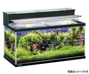 楽天市場 アズワン 魚類用水槽マリーナガラス1cm 1個 4 38 32 個人宅配送不可 送料別途お見積り セミプロｄｉｙ店ファースト