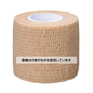 fBJ e͕ x[W 5.0cm 12 F1(12)