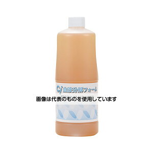 fBJ CittH[ 1Ll֗p F1{