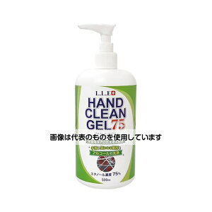 tBteBEBWi[ GGA[XvX nhN[WF75 500mL 11A-08707 F1{^P[X