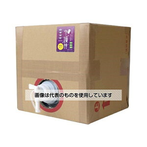 アール・シーウメハラ 抗菌・防臭剤 カビ守護神 10L 入数:1個