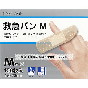 AY(AS ONE) CARELAGE ~}o p^Cv MTCY 100 F1(100)