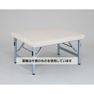 AY(AS ONE) `FAxbh 850×590×410mm ~N Bench-W F1
