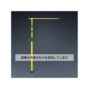 GXR 5.0m W[|[(_t) EA720M-25 F1{
