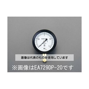 GXR G 3/8"/ 75mm/0- 10MPa ^͌v EA729DP-100 F1