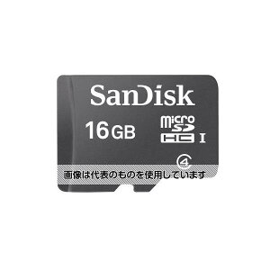 GXR 16GB micro SDHC [J[h EA759GN-15 F1