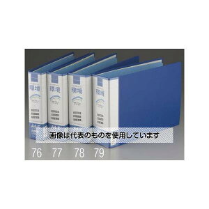 GXR A4/E^ pCvt@C(300) EA762CL-76 F1