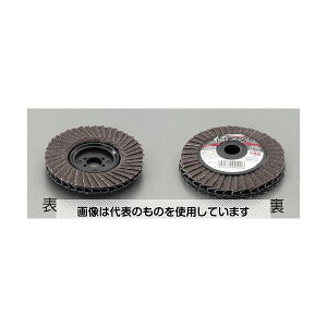GXR 100x15mm/# 80 fBXNzC[(O) EA809CD-53 F1