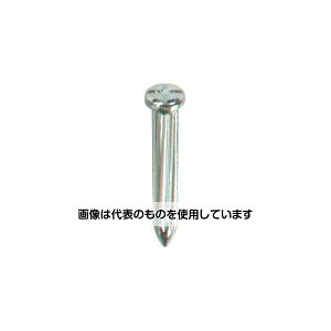 RmG RmGlCNo.01 100Zbg KN01 F100Zbg