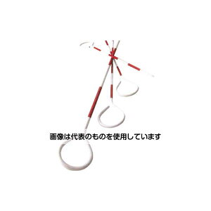 }C]bNX s|[ SAP50 F1Zbg