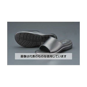 �G�X�R [LL] �T���_��(�{�v/��) EA910SX-12 �����F1��