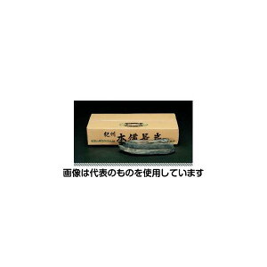 GXR 3.0kg Y EA913AB-5 F1