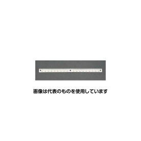 エスコ 100mm [中心振分/上目盛]スケール EA948J-151 入数：1個