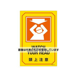 GXR 300x450mm pTCW EA983AJ-18A F1