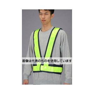 GXR SxXgELED(/) EA983R-63 F1