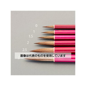 AY(AS ONE) 2 M(n) EA109MJ-2 F1{