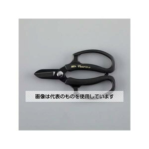 AY(AS ONE) 171mm Ɩp͂݁Et[ EA540BH-3 F1