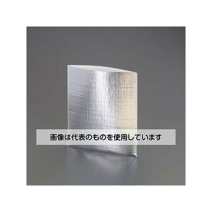 AY(AS ONE) 250x300mm ۗ(ܗp/40) EA925MF-91 F1(40)