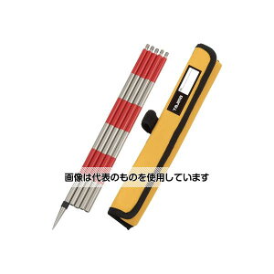 AY(AS ONE) ^W}g[^ps|[EX30cm×4 TT-MP304EX F1