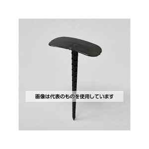 AY(AS ONE) V[gs(10) EA952AD-532 F1(10)