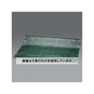 AY(AS ONE) 2.0x50m όhV[g EA952AD-300B F1