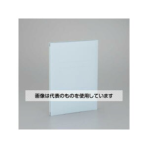 AY(AS ONE) A4 Lkt@C(u[) EA762CF-401 F1