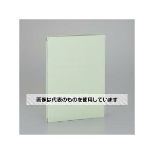 AY(AS ONE) A4 Lkt@C(O[) EA762CF-403 F1