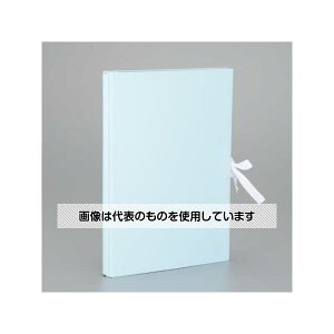 AY(AS ONE) A4 Lkt@C(u[) EA762CF-441 F1