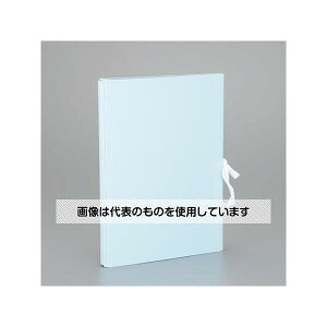 AY(AS ONE) A4 Lkt@C(u[) EA762CF-451 F1