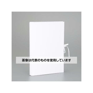 AY(AS ONE) A4 Lkt@C(zCg) EA762CF-452 F1