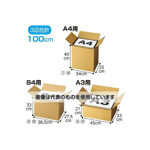 AY(AS ONE) _{[ zTCY 45×33×21cm 30 61-318-2-21 F1Zbg(30)