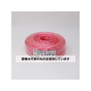 AY(AS ONE) G[X[v310  F1